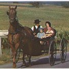 Ohio Postcard Amish Family Horse & Buggy