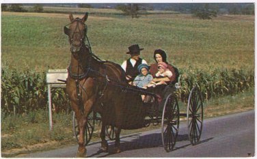 Ohio Postcard Amish Family Horse & Buggy
