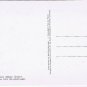 United Kingdom UK Postcard Gwent Tintern Abbey From South East