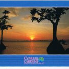 Florida Postcard Cypress Gardens Sunset & Cypress Trees