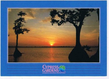 Florida Postcard Cypress Gardens Sunset & Cypress Trees