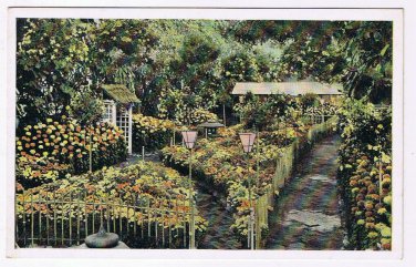 Missouri Postcard St Louis Missouri Botanical Garden Chrysantemum Show