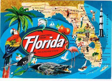 Florida Postcard State Pictoral Map Sunshine State Of Flowers