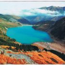 Russia Postcard Restore Forest Together WWF Card