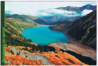 Russia Postcard Restore Forest Together WWF Card