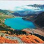 Russia Postcard Restore Forest Together WWF Card