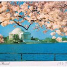 District Of Columbia DC Postcard Washington Jefferson Memorial Cherry Blossoms