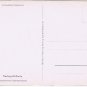 Germany Postcard Im Montafon Gemswurz Mountains Flowers