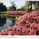 Florida Postcard Clearwater Azaleas At Sylvan Abbey Safety Harbor Used