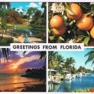 Florida Postcard Multi View Oranges Cypress Gardens Sunset Marina