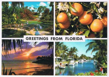 Florida Postcard Multi View Oranges Cypress Gardens Sunset Marina
