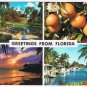 Florida Postcard Multi View Oranges Cypress Gardens Sunset Marina