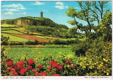 Postcard Scrabo Tower Near Newtownards County Down Northern Ireland