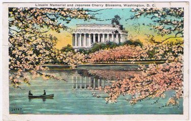 District Of Columbia DC Postcard Lincoln Memorial Japanese Cherry Blossoms 1925