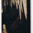 Postcard Vegetable Garden Cave Of Winds Manitou Colorado