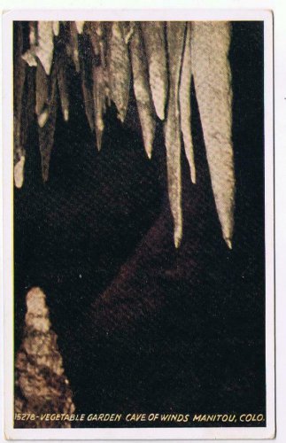 Postcard Vegetable Garden Cave Of Winds Manitou Colorado