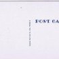 Ontario Postcard Logs Lake Overhanging Birches