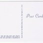 Nature Postcard Shells Collection Coral Magpie Snell Voluta Crown Scallop