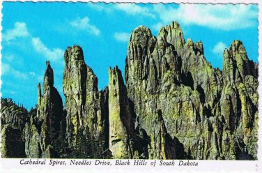 South Dakota Postcard Cathedral Spires Needles Drive Black Hills