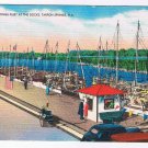 Florida Postcard Tarpon Springs Sponge Fleet At Docks