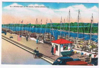 Florida Postcard Tarpon Springs Sponge Fleet At Docks