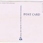 Florida Postcard Tarpon Springs Sponge Fleet At Docks