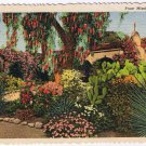 California Postcard Mission San Juan Capistrano Flowers