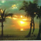 Florida Postcard Golden Sunrise Palm Trees South Florida Coast