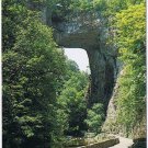 Virginia Postcard Roanoke Natural Bridge Of Virginia Seven Wonders