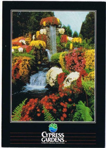 Florida Postcard Cypress Gardens Southern Waterfalls Flowering Chrysanthemums
