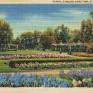 Minnesota Postcard St Paul Como Park Formal Gardens