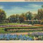 Minnesota Postcard St Paul Como Park Formal Gardens