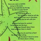 Florida Postcard Sea Stars Starfish Poem
