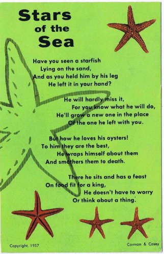 Florida Postcard Sea Stars Starfish Poem