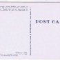 Florida Postcard Sea Stars Starfish Poem
