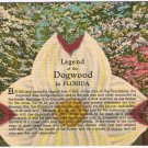 Florida Postcard Legend Of The Dogwood In Florida