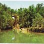 Virginia Postcard Natural Bridge Lee Highway Wonder of the World Tichnor