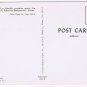 Florida Postcard Miami Feeding Porpoises Seaquarium