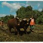 Ontario Postcard Morrisburg Upper Canada Village Oxen Ploughing Fields