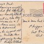 Florida Postcard Hialeah Race Course Flamingoes Feeding