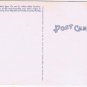 Florida Postcard Sunshine Skyway Bridge Main Span