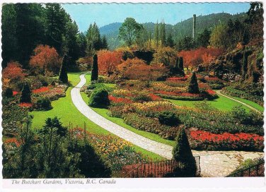 British Columbia BC Postcard Victoria Butchart Gardens Sunken Garden