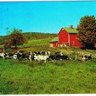 New York Postcard Long Eddy Ginger's Country Store Quaint Restaurant