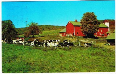 New York Postcard Long Eddy Ginger's Country Store Quaint Restaurant