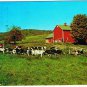 New York Postcard Long Eddy Ginger's Country Store Quaint Restaurant