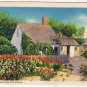 Massachusetts Postcard Cape Cod Early House