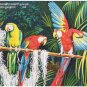 Florida Postcard Miami Parrot Jungle Beautiful Macaws