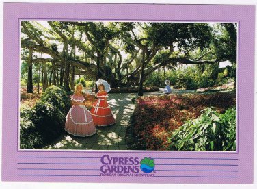 Florida Postcard Cypress Gardens Southern Belles Banyan Tree