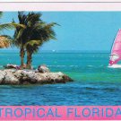 Florida Postcard Tropical Florida Palms Sailboat