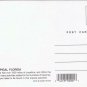 Florida Postcard Tropical Florida Palms Sailboat